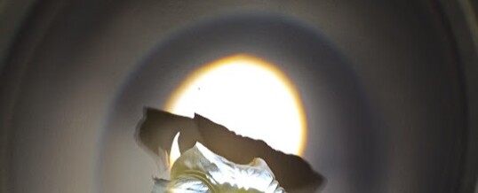 Actividades científicas abiertas octubre 2021. Inscribrise