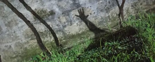 Conversando con el guionista, productor y director uruguayo Rodolfo Sayagués